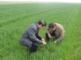 informat_1533201163970