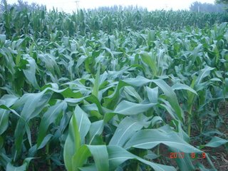 informat_1533201956713