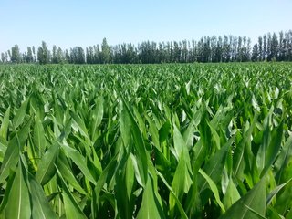informat_1541057132176