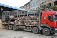 informat_1541410771577
