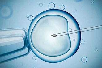 informat_1544057416294