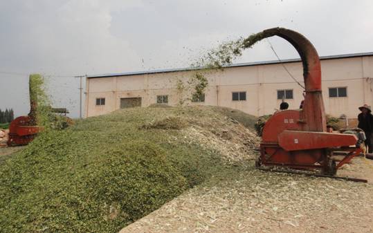 informat_1544692352482