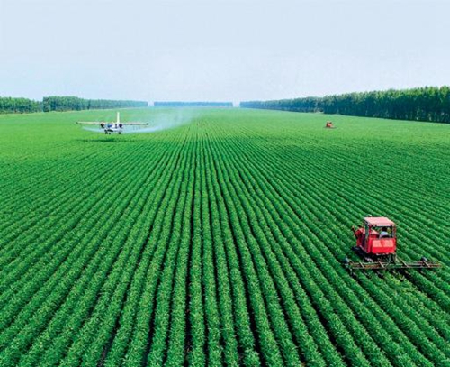 informat_1545120623233