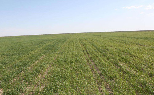 informat_1545121996073