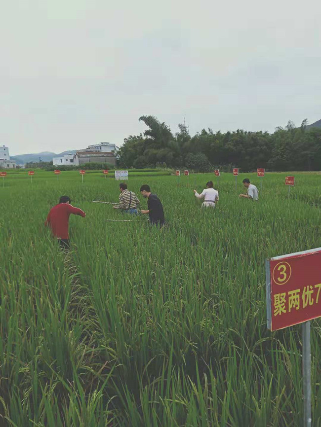 informat_1545122967547