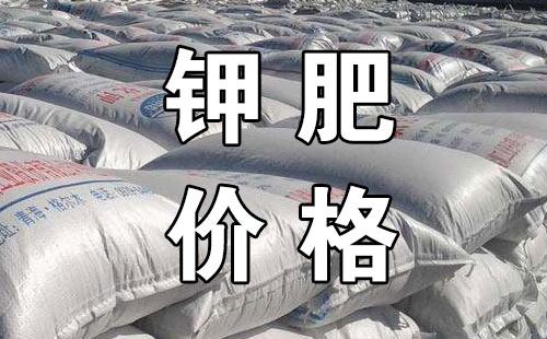 informat_1545270619241