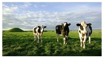 informat_1545271614067