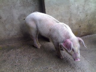 informat_1545271740507