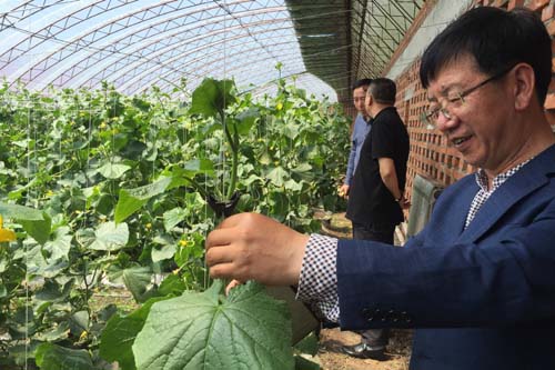 informat_1545271832034