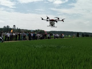 informat_1545271924737