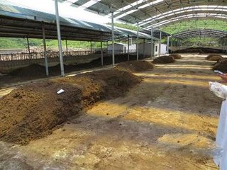 informat_1545274056447