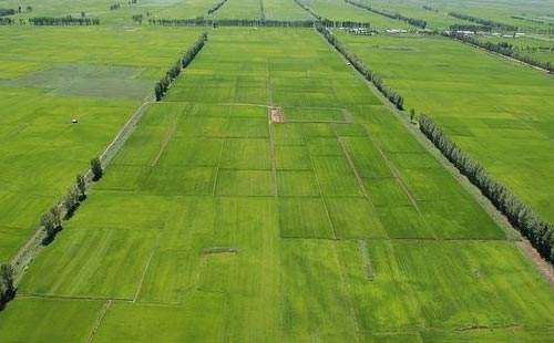 informat_1545275088473