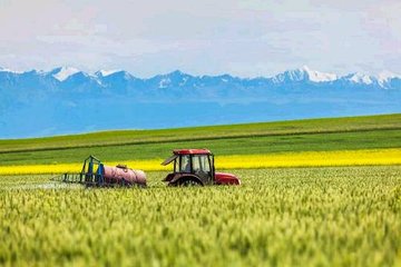 informat_1545275752399