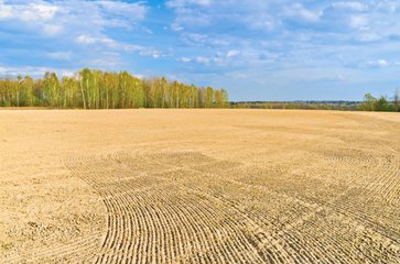 informat_1545275845244