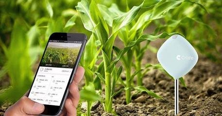 informat_1545276006171