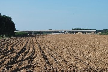 informat_1545276319458