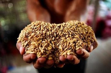 informat_1545276411711