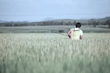 informat_1545288788534