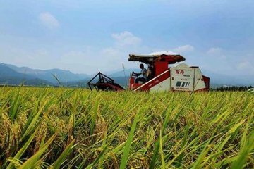 informat_1545289212839