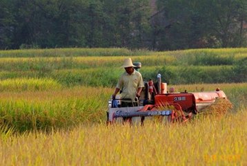 informat_1545289897609