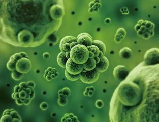 informat_1545292080790