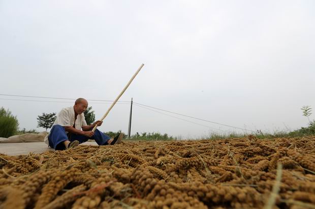 informat_1546938937202