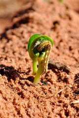 informat_1546939244447