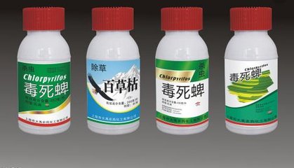 informat_1547194170880