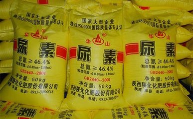 informat_1547194235247