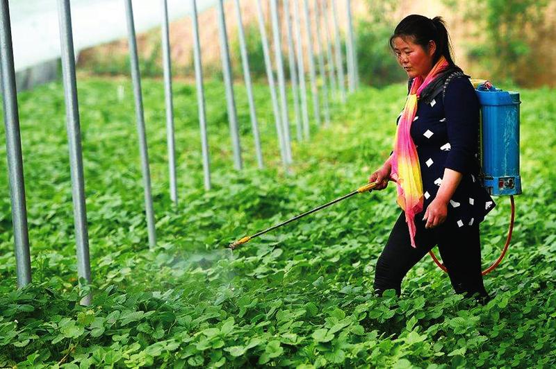 informat_1547194286058