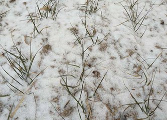 informat_1547194421437