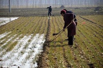 informat_1547194511019