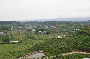 informat_1547199030073