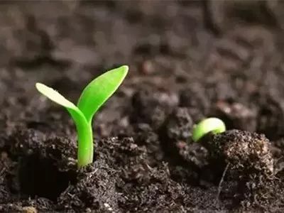 informat_1547604206849