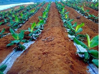 informat_1547604378706