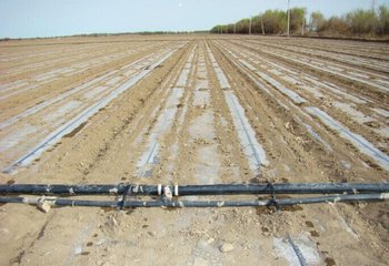 informat_1547604446428