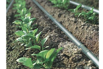 informat_1547604534758