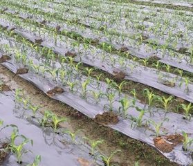 informat_1547604779469