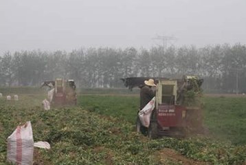 informat_1547605485866