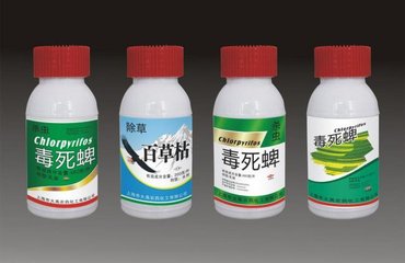 informat_1547605985116