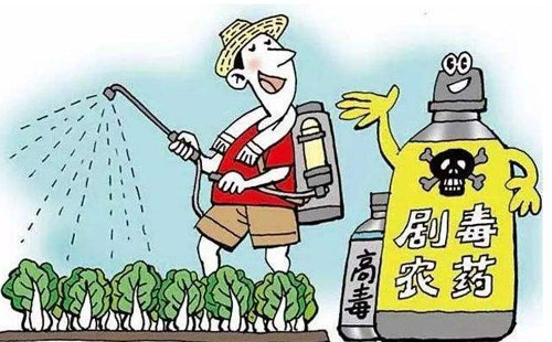 informat_1547606156403