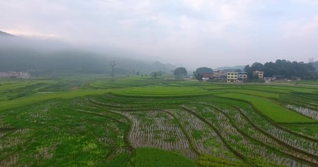 informat_1547606427226