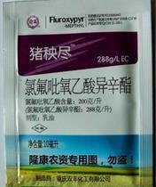 informat_1547606585915