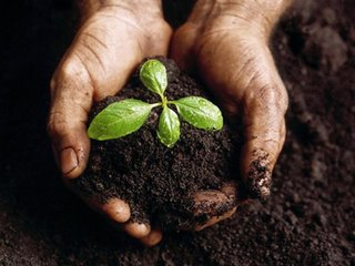 informat_1547606679770