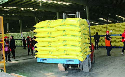 informat_1547606945726