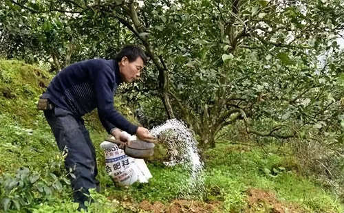 informat_1547607206351