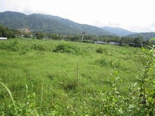 informat_1548140116058