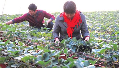 informat_1548140399130