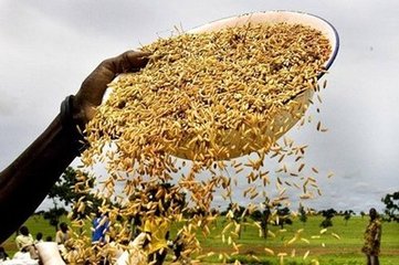 informat_1548228212594