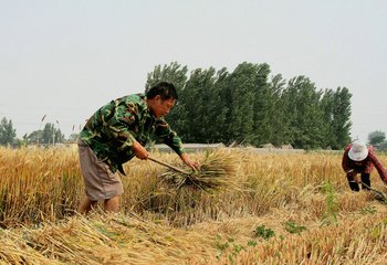 informat_1548228309156